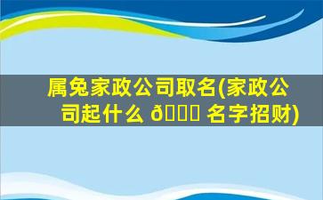 属兔家政公司取名(家政公司起什么 🍁 名字招财)
